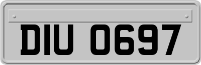 DIU0697