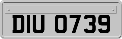 DIU0739