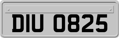 DIU0825