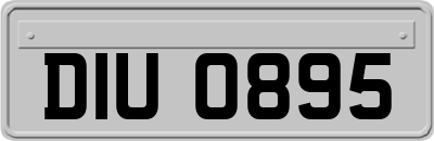 DIU0895