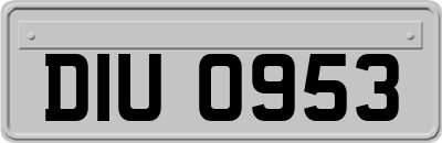 DIU0953