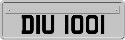 DIU1001