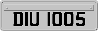 DIU1005