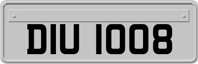 DIU1008