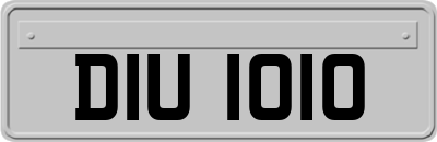DIU1010