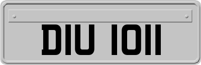 DIU1011