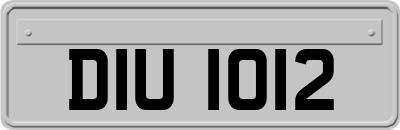 DIU1012