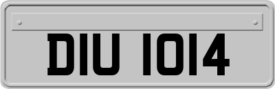 DIU1014