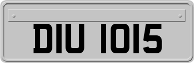 DIU1015