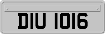 DIU1016