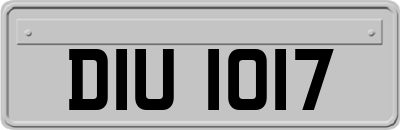 DIU1017