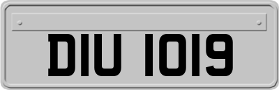 DIU1019