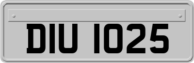DIU1025