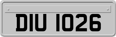 DIU1026