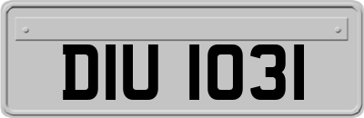 DIU1031