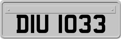 DIU1033