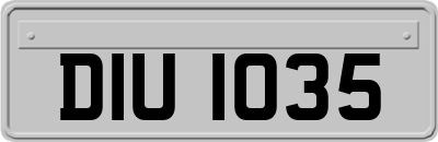 DIU1035