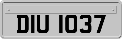 DIU1037