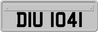 DIU1041