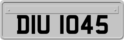 DIU1045