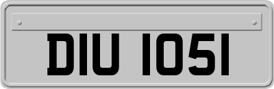 DIU1051