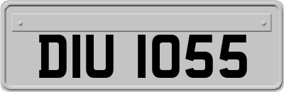 DIU1055