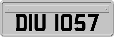 DIU1057