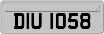 DIU1058