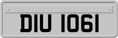 DIU1061