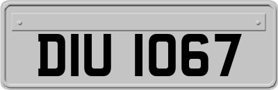 DIU1067