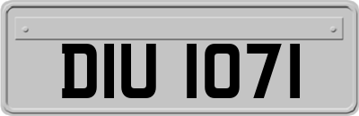 DIU1071