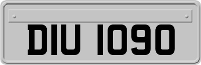 DIU1090