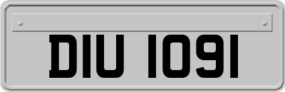 DIU1091