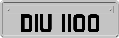 DIU1100