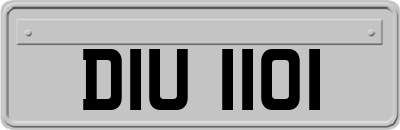 DIU1101