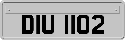 DIU1102
