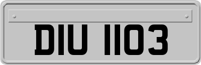 DIU1103