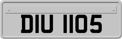 DIU1105