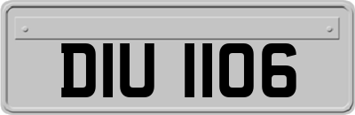 DIU1106