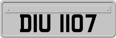 DIU1107