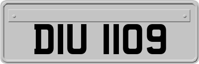 DIU1109