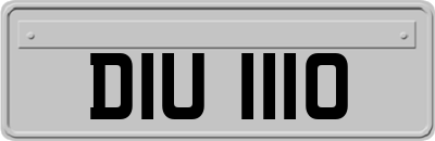 DIU1110