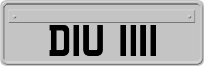 DIU1111