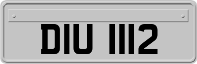 DIU1112