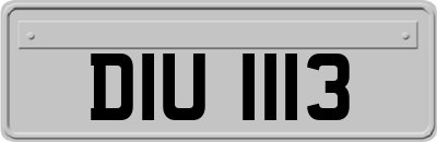 DIU1113