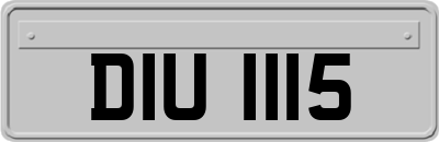 DIU1115