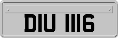 DIU1116