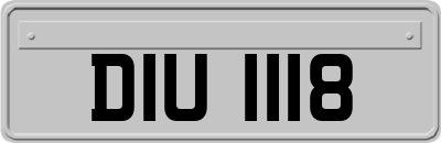 DIU1118