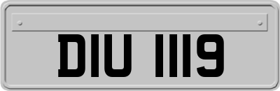 DIU1119