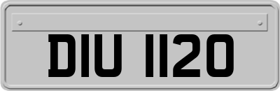 DIU1120